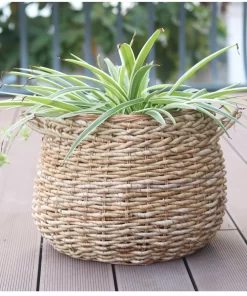 Basket with Handles