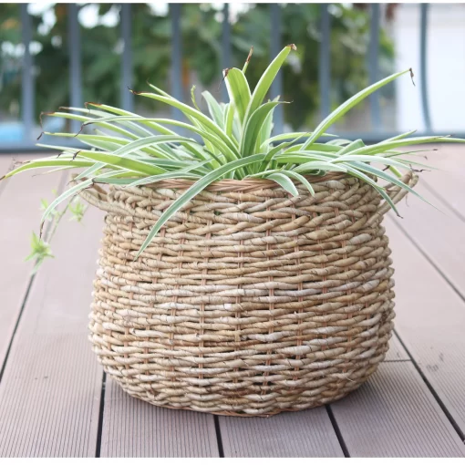 Basket with Handles