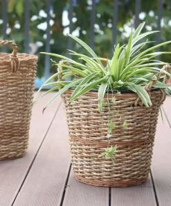 Basket with Handles