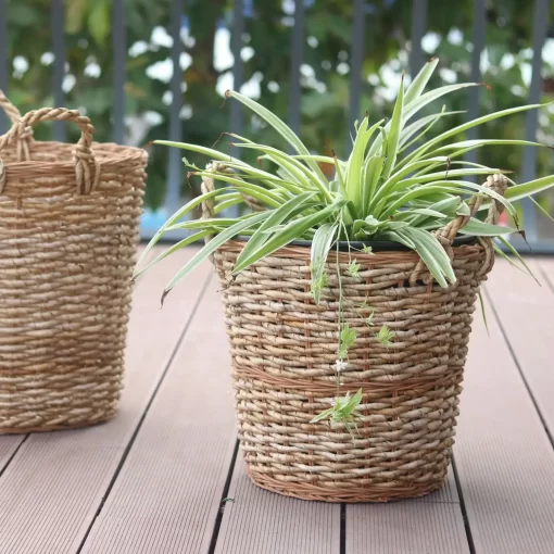 Basket with Handles