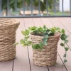 Wicker Banana Plant Pot