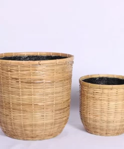 Bamboo U pot