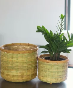 Bamboo planter With Cement sealant