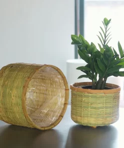 Bamboo planter With Cement sealant