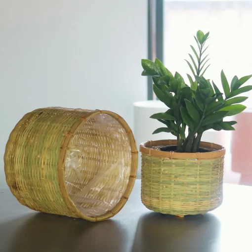 Bamboo planter With Cement sealant