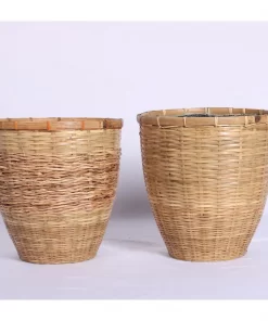 Bamboo Egg pot