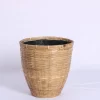 Bamboo Egg pot