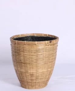 Bamboo Egg pot