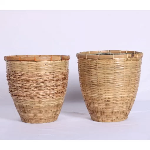 Bamboo Egg pot