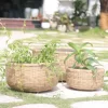 Bamboo planter With Cement sealant