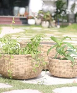 Bamboo planter With Cement sealant