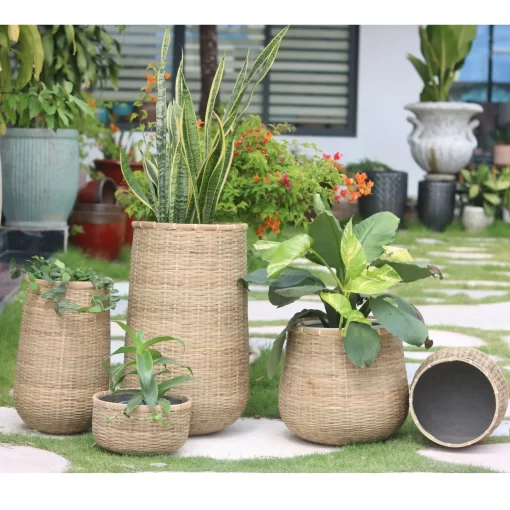 Bamboo planter With Cement sealant