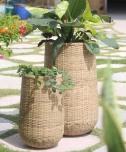 Bamboo planter With Cement sealant