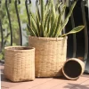 Bamboo planter With Cement sealant