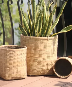 Bamboo planter With Cement sealant