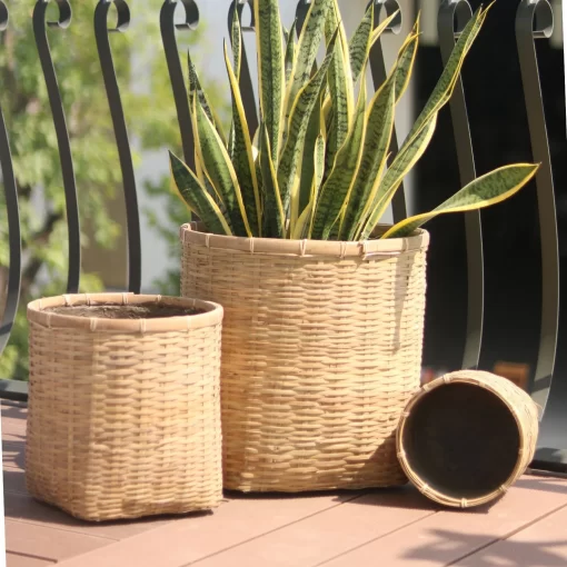 Bamboo planter With Cement sealant