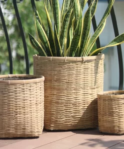 Bamboo planter With Cement sealant