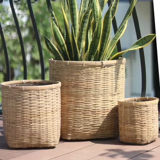 Bamboo planter With Cement sealant