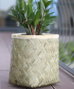 Bamboo planter With Cement sealant