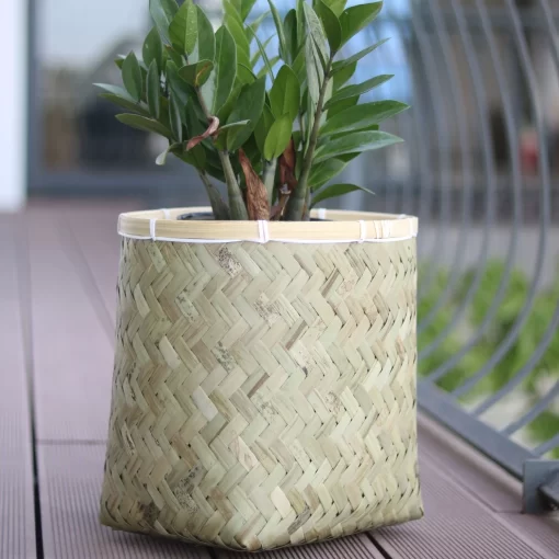 Bamboo planter With Cement sealant