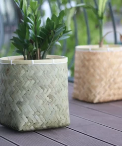 Bamboo planter With Cement sealant